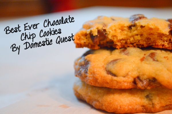 Best Ever Chocolate Chip Cookies by Domestic Quest